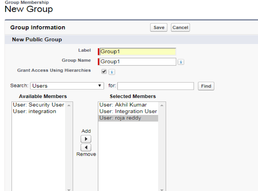 save-users-to-a-new-public-group-in-salesforce