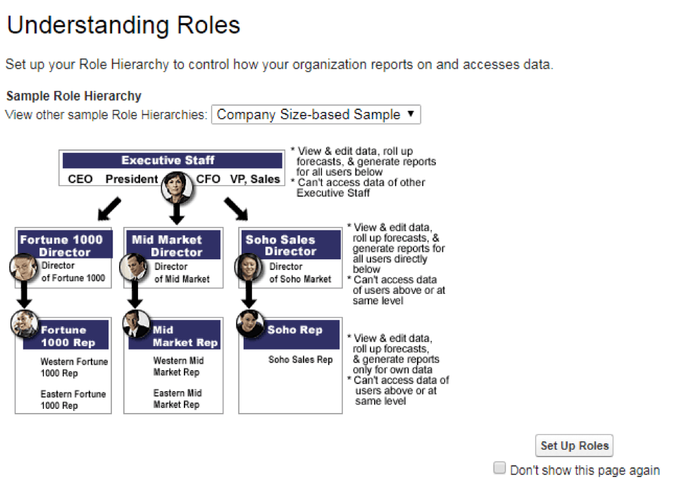 Role-in-Salesforce