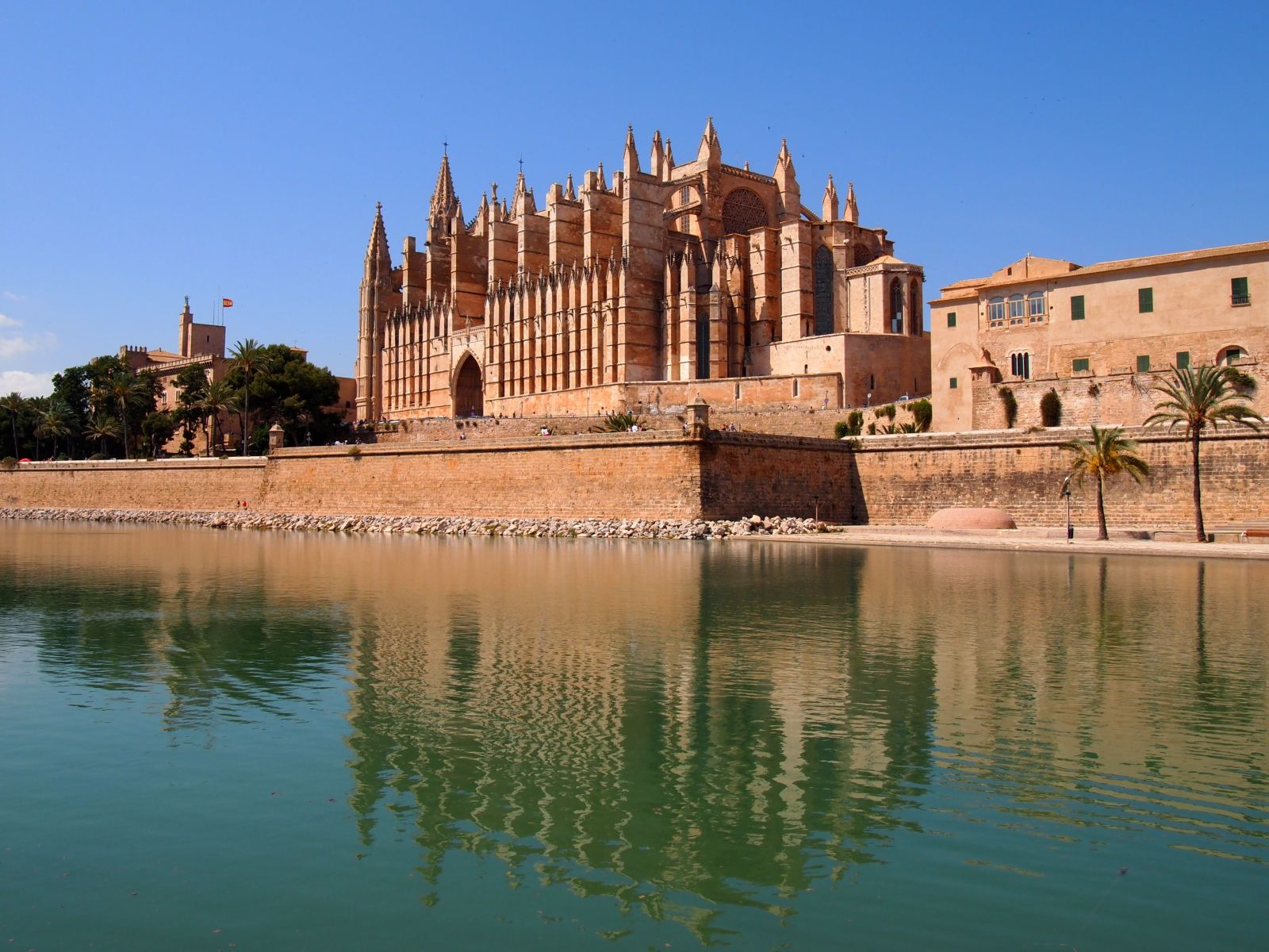 Cathedral of Santa Maria of Palma
