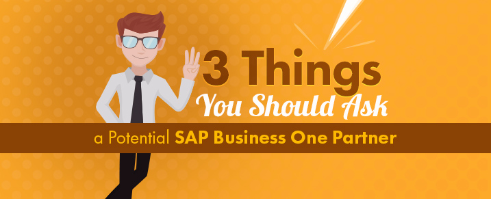3 Things You Should Ask a Potential SAP B1 Partner