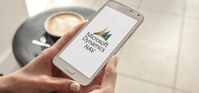 How was 2015 for MS Dynamics NAV ERP ?