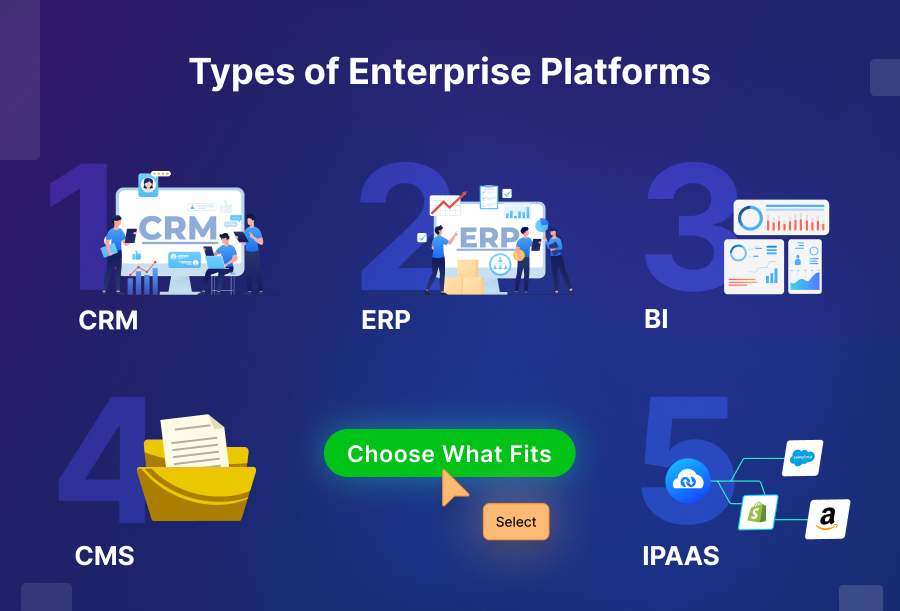 Types of Enterprise Platforms