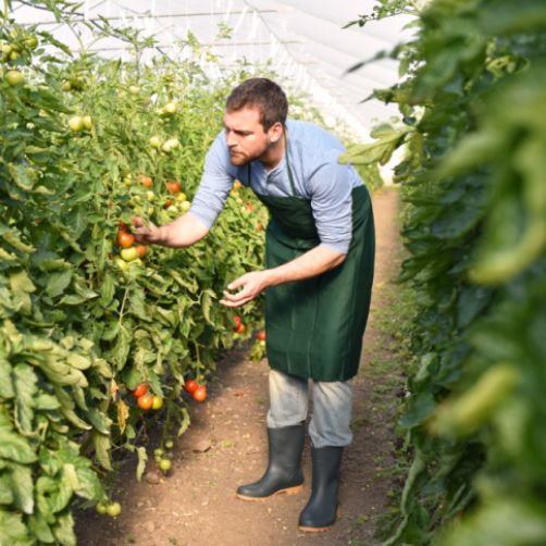 Australian Agribusiness