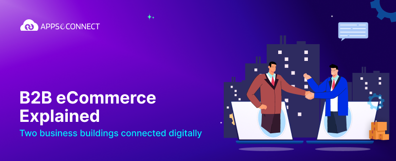 B2B eCommerce Explained