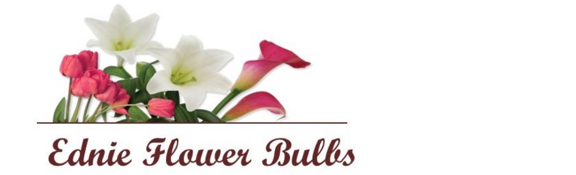 Ednie-Flower-Bulbs Logo