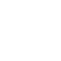 Chip white icon